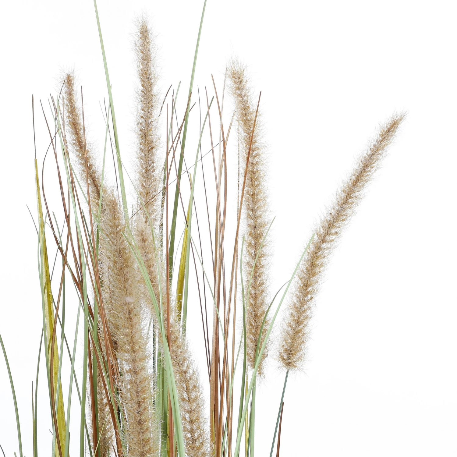 Mica Decorations Kunstpflanze Federgras Foxtail 8 Mica Decorations Kunstpflanze Federgras Foxtail – Bild 6