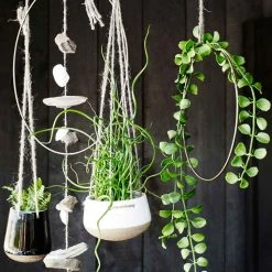 Madam Stoltz Dekoring für Wand & Fenster, mittel -Günstiges Deko Geschäft 81c2abf9e6994a179a5dbb48cf548d27