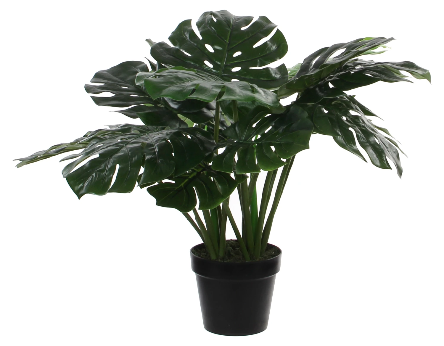 Mica Decorations Kunstpflanze Monstera - Höhe: 60 cm 3 Mica Decorations Kunstpflanze Monstera - Höhe: 60 cm