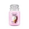 Country Candle Large Jar Pumpkin Waffle Cone -Günstiges Deko Geschäft 8f219317764b462c8a998a8a1a9891ac