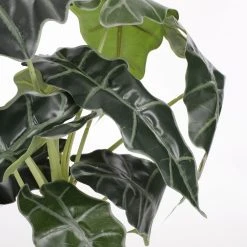 Mica Decorations Kunstpflanze Alocasia - Höhe: 50 cm -Günstiges Deko Geschäft 97d72912062049589120c00f66a3dcb3 scaled