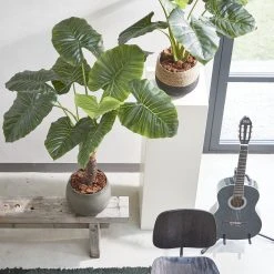 Mica Decorations Pflanzkorb Jorck (3er-Set) - Schwarz - Naturfaser - Kunststoff -Günstiges Deko Geschäft 98223c1e037a457d93f5f2eff5afc86e scaled