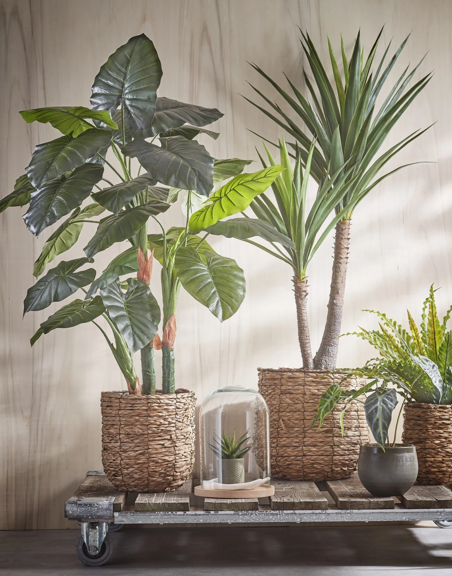 Mica Decorations Glasglocke Hella - 21 x 30 x 21 cm - Durchmesser: 21 cm 4 Mica Decorations Glasglocke Hella - 21 x 30 x 21 cm - Durchmesser: 21 cm – Bild 3