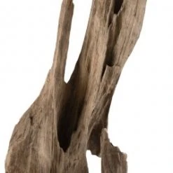 Macabane Deko-Objekt aus Teakholz Zweig -Günstiges Deko Geschäft 9ff2759542f84700bb51dac37d511b20.cropped 305 35 267 844.processed