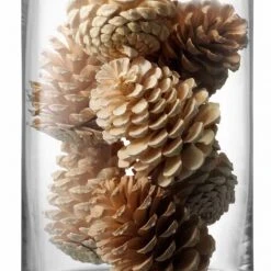 LSA Column Vase/Kerzenglas, klar 9 LSA Column Vase/Kerzenglas, klar -Günstiges Deko Geschäft a11393559cdf4e2895829d15fb4d1b69.cropped 274 79 710 1129.processed