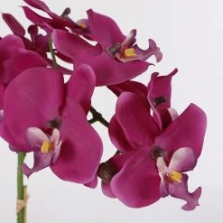 Mica Decorations Kunstpflanze Phalaenopsis - Violett -Günstiges Deko Geschäft a23df3fd637d4f9ba1cda1f6248d6349 scaled