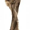 Macabane Deko-Objekt aus Teakholz Zweig -Günstiges Deko Geschäft a580143a2f4943379ea21b28f486a9b2.cropped 258 31 379 869.processed
