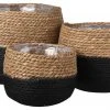 Mica Decorations Pflanzkorb Jorck (3er-Set) - Schwarz - Naturfaser - Kunststoff 1 Mica Decorations Pflanzkorb Jorck (3er-Set) - Schwarz - Naturfaser - Kunststoff -Günstiges Deko Geschäft a82110938a4b4fe89438b9bd2ffe4dc5.cropped 39 1103 2875 1754.processed scaled