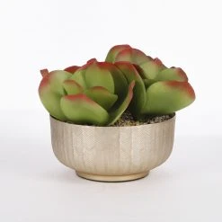 House of Seasons Pflanzenschale Sofia -Günstiges Deko Geschäft a9842c9dc6834a1ea0f838eddfd9cbbc scaled