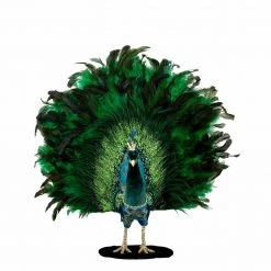 Flowforia Pfau Deko grün 68x17H63cm