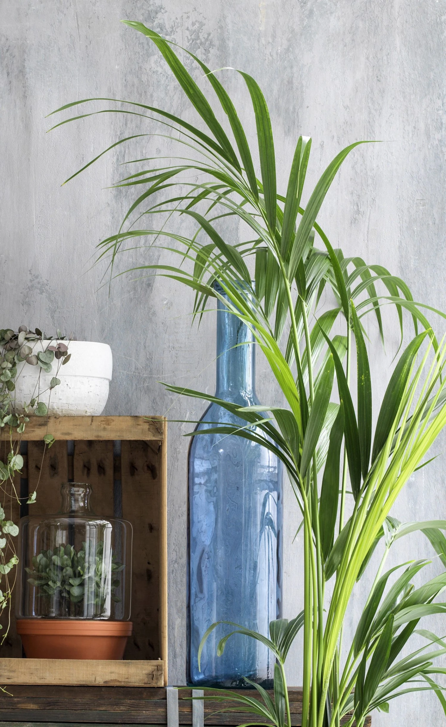 Mica Decorations Vase Rioja 4 Mica Decorations Vase Rioja – Bild 2