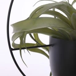 Mica Decorations Blumentopf Dexter - Schwarz -Günstiges Deko Geschäft af0abea2a63c4bdaaf0f61ce9da55609 scaled