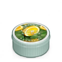Kringle Candle Daylight Citrus and Sage