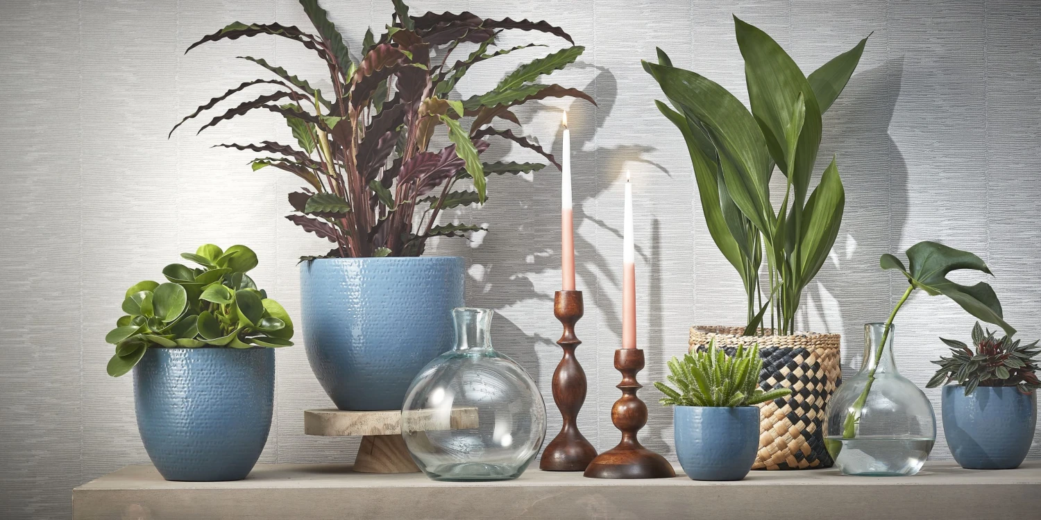 Mica Decorations Kerzenhalter Lindy - 10 x 32 x 10 cm - Durchmesser: 10 cm 6 Mica Decorations Kerzenhalter Lindy - 10 x 32 x 10 cm - Durchmesser: 10 cm – Bild 4