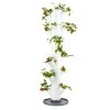 Gusta Garden Sissi Strawberry classic - Weiß - Höhe: 113 cm