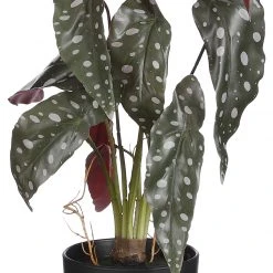 Mica Decorations Kunstpflanze Begonia