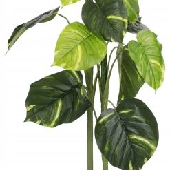 Mica Decorations Kunstpflanze Caladium - Dunkelgrün