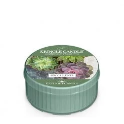 Kringle Candle Daylight Succulents