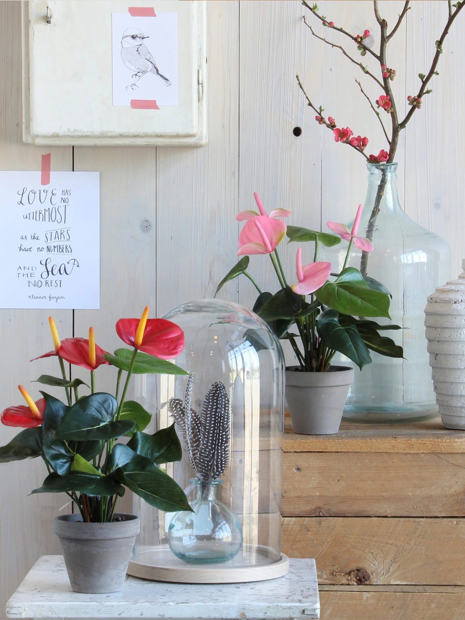 Mica Decorations Kunstpflanze Anthurium - Hellrosa 4 Mica Decorations Kunstpflanze Anthurium - Hellrosa – Bild 2