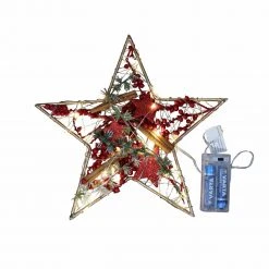 Flowforia Stern Lichterkette