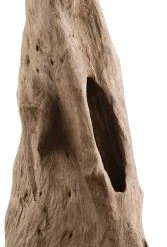 Macabane Deko-Objekt aus Teakholz Zweig -Günstiges Deko Geschäft c1584ad577214bc9ac5b3cbdf1f76cfc.cropped 346 9 167 891.processed