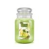 Country Candle Large Jar Pineapplerita 2 Country Candle Large Jar Pineapplerita -Günstiges Deko Geschäft c3dcc188d2d54dfebb79ef72748aff61