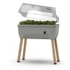 Gusta Garden Sammy Salad mit Haube - Hellgrau 1 Gusta Garden Sammy Salad mit Haube - Hellgrau -Günstiges Deko Geschäft c835a8bae2ad4afa99cd549fd07c8f9a