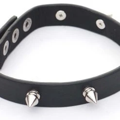 Deko Figur Leopard HWC-D36 mit Halsband - Schwarz -Günstiges Deko Geschäft c92ac58a549a4a80a2e34ee4734eda9e.cropped 35 311 1301 836.processed