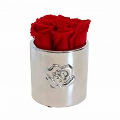 Flowforia Infinity Rosenarrangement Rose rund