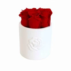 Flowforia Infinity Rosenarrangement Rose rund