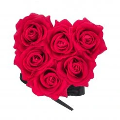 Relaxdays Weiße Rosenbox mit 6 Rosen 16 Relaxdays Weiße Rosenbox mit 6 Rosen -Günstiges Deko Geschäft d398a2d2350a4e1c9ce2f28098d0fb8e