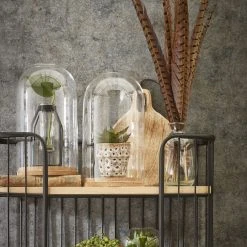 Mica Decorations Glasglocke Hella - 21 x 30 x 21 cm - Durchmesser: 21 cm 9 Mica Decorations Glasglocke Hella - 21 x 30 x 21 cm - Durchmesser: 21 cm -Günstiges Deko Geschäft dd118b8035794b8b8d6acdcd4f6e93c4 scaled