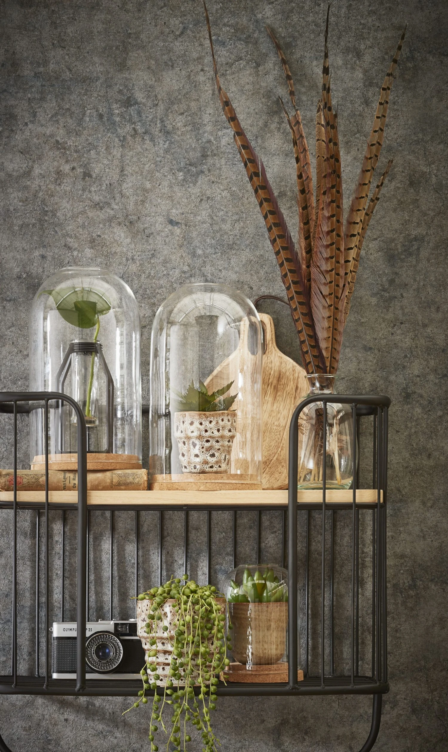 Mica Decorations Glasglocke Hella - 21 x 30 x 21 cm - Durchmesser: 21 cm 5 Mica Decorations Glasglocke Hella - 21 x 30 x 21 cm - Durchmesser: 21 cm – Bild 4