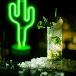 Relaxdays 2 x LED Neonlicht Kaktus - Grün - 15 x 29 cm -Günstiges Deko Geschäft de7e457c23a4443caec7117ee960f2c1 1