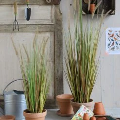 Mica Decorations Kunstpflanze Federgras Foxtail 12 Mica Decorations Kunstpflanze Federgras Foxtail -Günstiges Deko Geschäft dfd30d40ebc74a1581c764e0dfee1f6c scaled