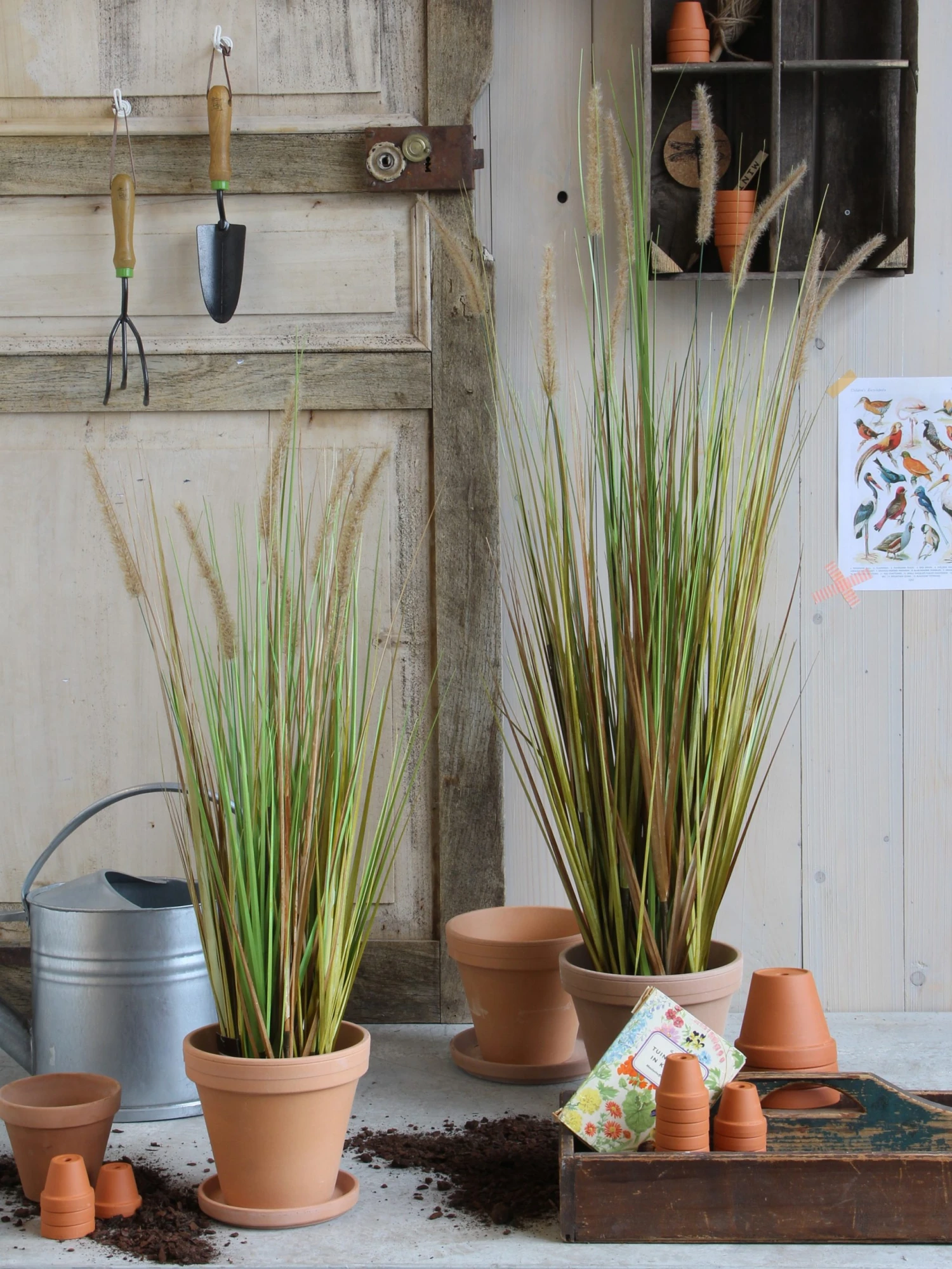 Mica Decorations Kunstpflanze Federgras Foxtail 5 Mica Decorations Kunstpflanze Federgras Foxtail – Bild 3