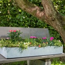 Flowforia Kasten Liverpool rechteckig -Günstiges Deko Geschäft e4211a075bae4c5ea6c34665fc3f24a4