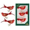 Krebs Glas Lauscha Rot/gold transparent 11cm Glasvögel 2 Krebs Glas Lauscha Rot/gold transparent 11cm Glasvögel -Günstiges Deko Geschäft e509542c99c84231b25af740d224867e