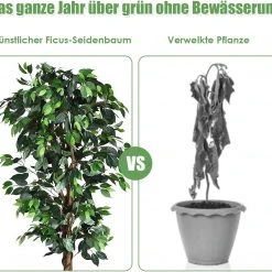 Costway Zimmerpflanze Deko 11 Costway Zimmerpflanze Deko -Günstiges Deko Geschäft e628d62f19a0491b93f880d9fd57a0e5