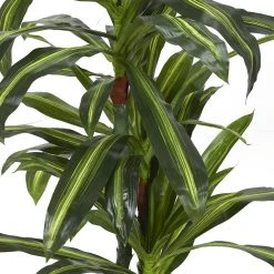 The Home Deco Factory Kunstpflanze "Dracaena" 130 cm -Günstiges Deko Geschäft e675b720676b4501bde4bf54f80fcc7b