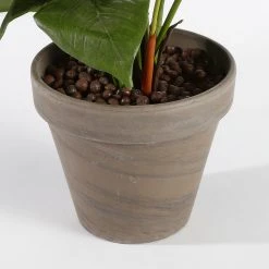 Mica Decorations Kunstpflanze Anthurium - Hellrosa 10 Mica Decorations Kunstpflanze Anthurium - Hellrosa -Günstiges Deko Geschäft ebdf1d4b7d0b4475bda47f045a91d427 scaled