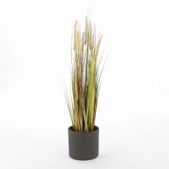 Mica Decorations Kunstpflanze Federgras Foxtail 13 Mica Decorations Kunstpflanze Federgras Foxtail -Günstiges Deko Geschäft ec976f7d066b4a92b764721603471775.cropped 70 85 2842 2868.processed scaled