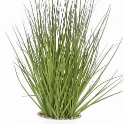 Flowforia Miscanthusgras getopft