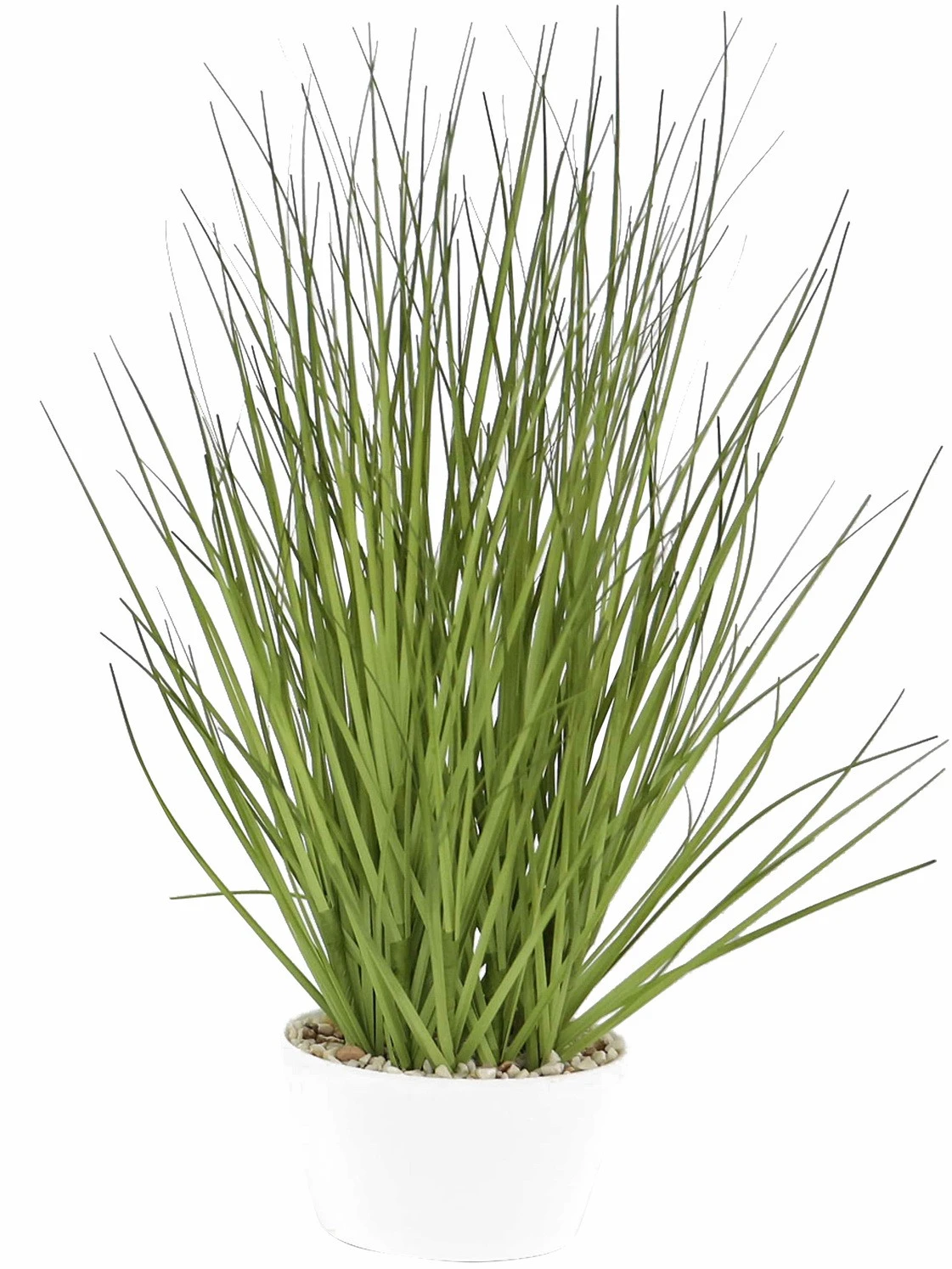 Flowforia Miscanthusgras getopft 3 Flowforia Miscanthusgras getopft