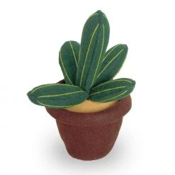 SUCCULENT FILZ-DECO 25x25x42 -Günstiges Deko Geschäft fd9bb3d418224c408788d0f6db9c3615