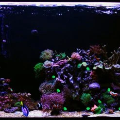 Relaxdays Leuchtsteine 2000er Pack grün -Günstiges Deko Geschäft ffbb3cc093484b26841c8131f737417d